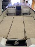 abbate-elite-33-occasion-suisse-lac-leman-cockpit-avec-bain-soleil-avant-plan-24
