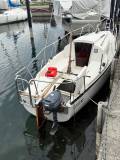 Voilier Korneuburg Shark 24 occasion